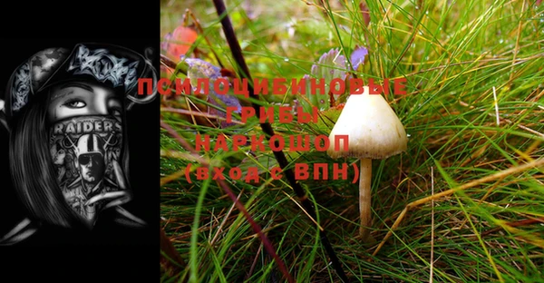 спиды Абинск