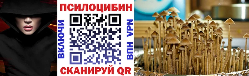 Псилоцибиновые грибы мицелий  Ак-Довурак 